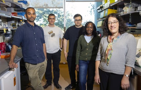 Five people smile for a group portrait in a lab.