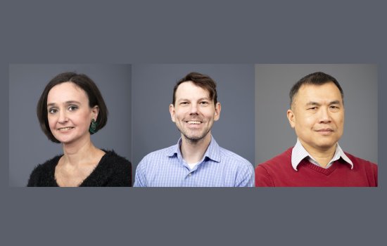 Professors Scimemi, Valm, and Wang