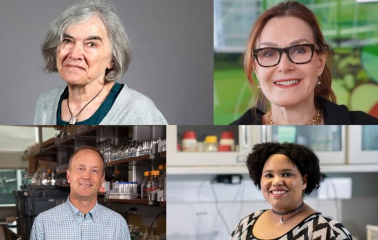 Collage of quoted RNA researchers. Clockwise from top left, those pictured include Marlene Belfort, Lynne Maquat, Alexis Weber, Andrew Berglund. 