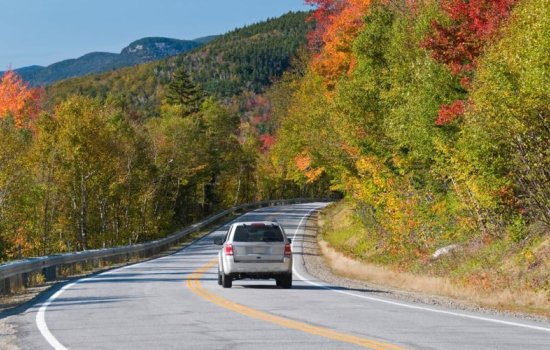 car is driving down the road surrounding by fall foliage