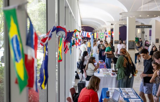 Students speak with staff members tabling an international education fair at UAlbany.