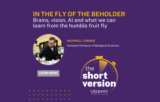 In the Fly of the Beholder podcast