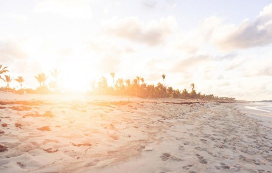 Sunlight flares over a tropical beach with palm trees and footprints.