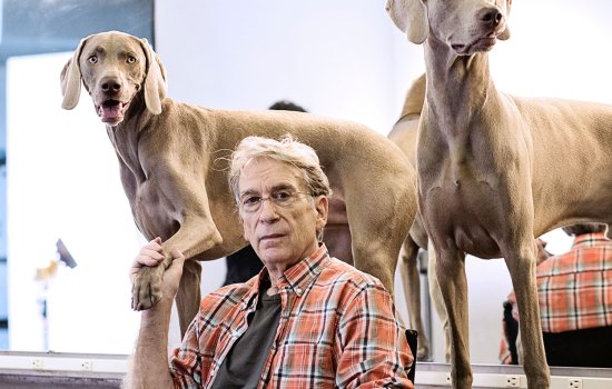 man sits in chair with two dogs standing behind him, he holds the paw of one dog in his hand
