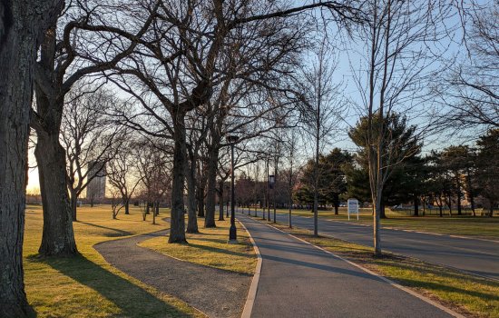 An image of an empty bike path on UAlbany's campus surrounded by trees, grass, lamp posts and a road on the right side of the image.