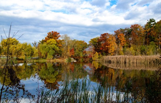 Fall foliage reflects in Parker Pond on UAlbany's Uptown Campus.