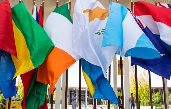 flags from different countries waving in the wind on UAlbany's campus