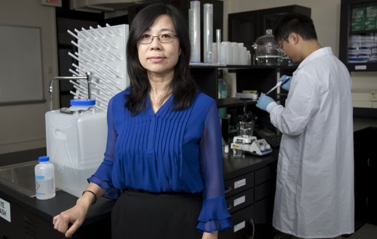 Yanna Liang in lab