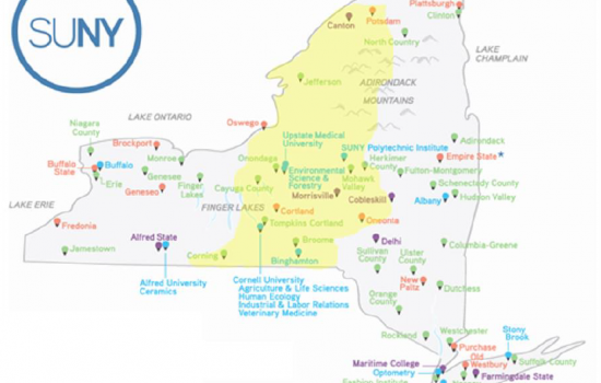 COVID Cluster Investigation