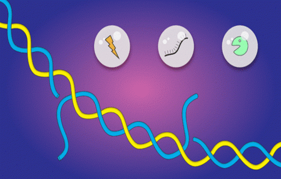 chandrasekaran-biochemistry-01-2021