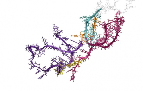 Chen Nature RNA Folding