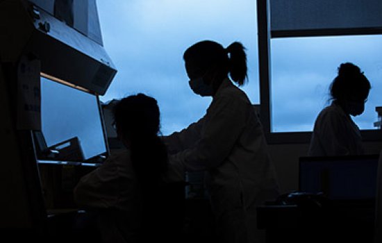 RNA scientists analyzing saliva samples as part of the pooled surveillance testing program. Photo by Patrick Dodson. 