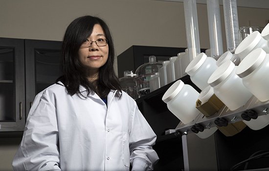Environmental and Sustainable Engineering Professor and Chair Yanna Liang