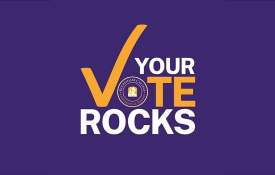 Your Vote Rocks