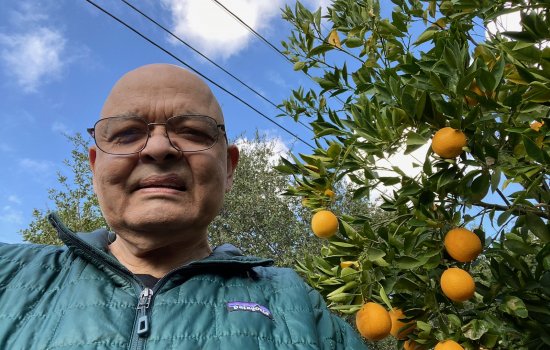 Jagdish Gangolly in his orchard