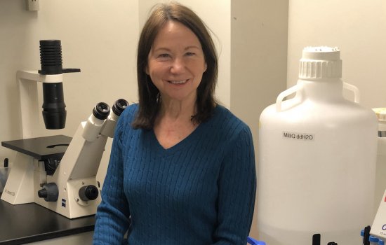 JoEllen Welsh, sitting in her lab at the Cancer Research Center.