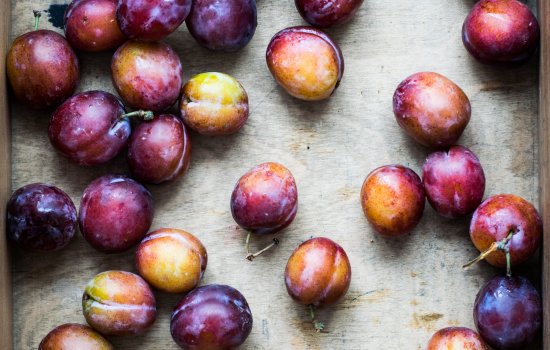 Many plums lay sprawled on a grey surface.