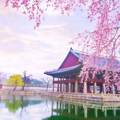 East Asian Studies - BA program image