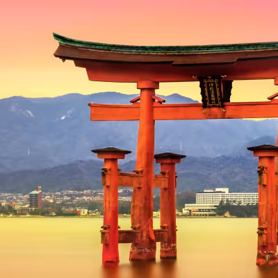 Japanese Studies - BA program image