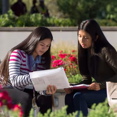 Linguistics - BA program image