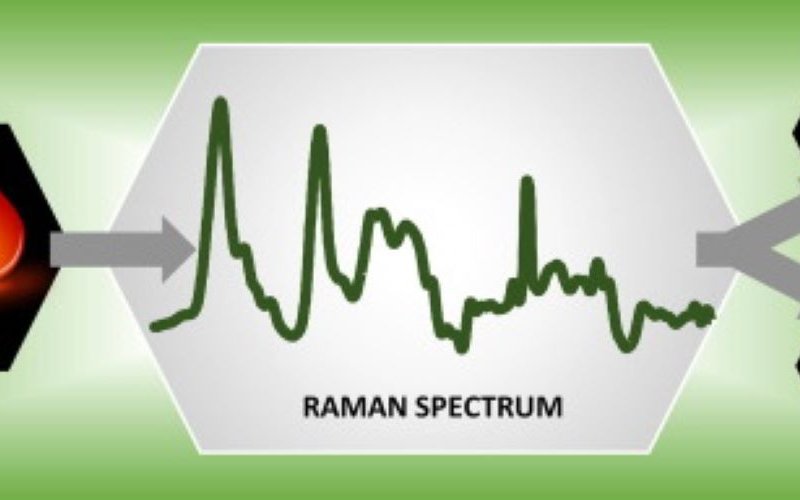 Lednev Raman Spectroscopy