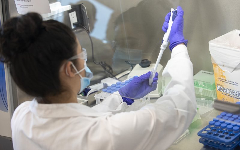 RNA Institute scientist testing a saliva sample for COVID-19