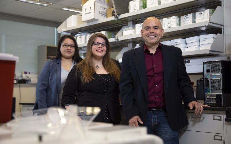 UAlbany Psychology Professor Andrew Poulos is studying the mental pathways to fear by sex and age differences with PhD students Natalie Odynocki and Lorianna Colon, at the University at Albany’s Life Sciences Building, on Wednesday, May 29, 2019. (photo by Patrick Dodson)