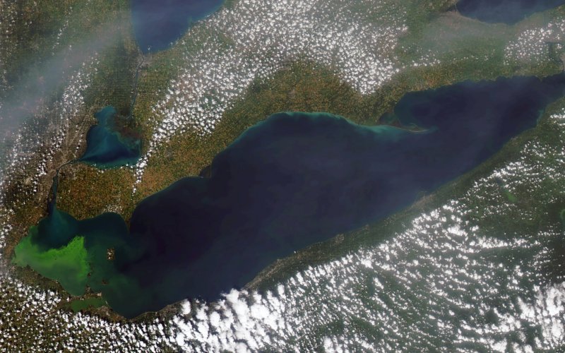 Algal blooms on Lake Erie