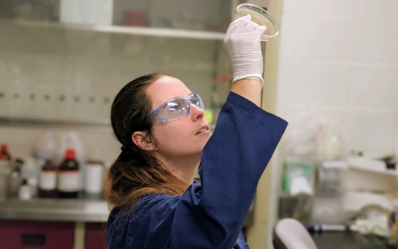 Haley Caldwell is in the lab, and is holding up a small clear tray and observing it.