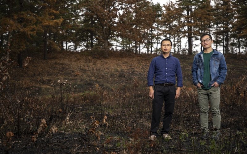 Assistant Professor Rixiang Huang and graduate assistant Lingqun Zeng stand in Albany's Pine Bush Preserve where a controlled burn was recently conducted