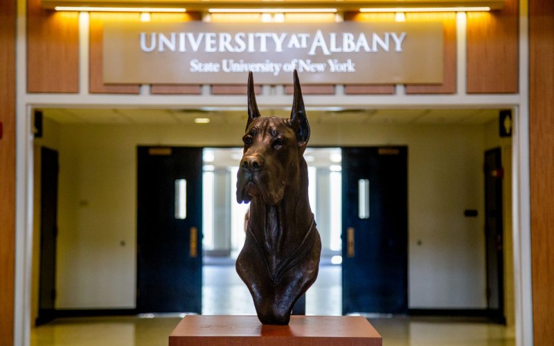 A bust of a great dane stands on a pedestal in an open hall under a sign reading: University at Albany State University of New York