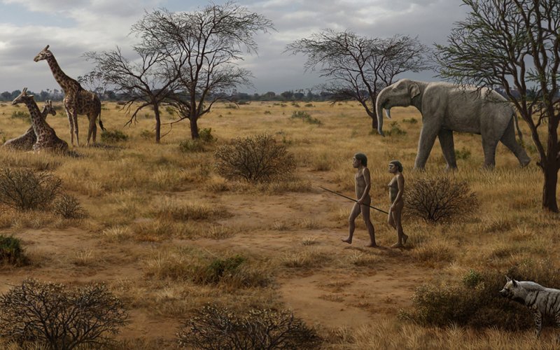A depiction of Homo erectus, man and woman, walking through an East Africa surrounded by contemporary fauna. 