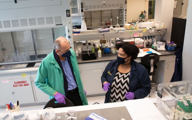 Two researchers, in lab coats and gloves and wearing facemasks, talk to each other in a laboratory