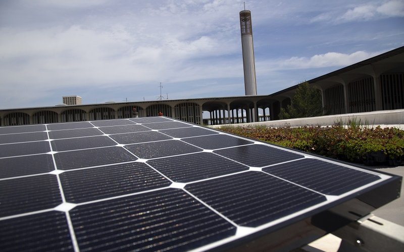 Solar panels on UAlbany's uptown campus.