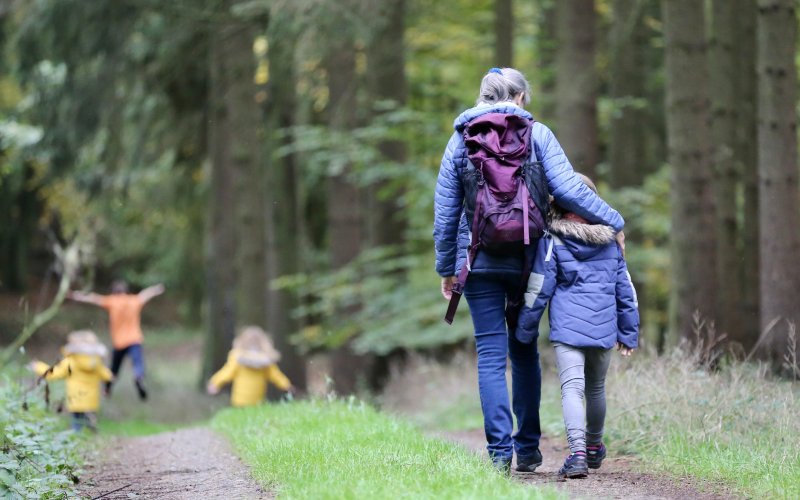 A woman with gray hair walks down a woodland path with her arm around a young child walking beside her; both are wearing purple jackets. Three children run ahead on the trail; two are wearing yellow jackets, one is in an orange T-shirt. 