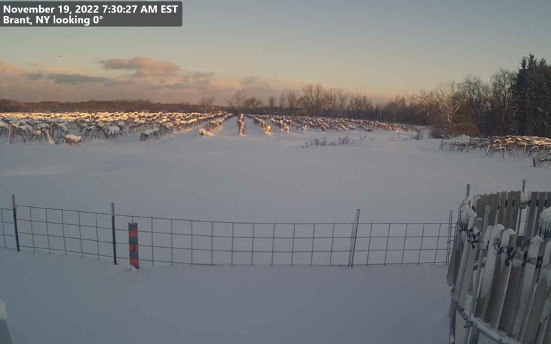 Snow covers the NYS Mesonet site in Brant, N.Y. on Saturday, Nov. 19.
