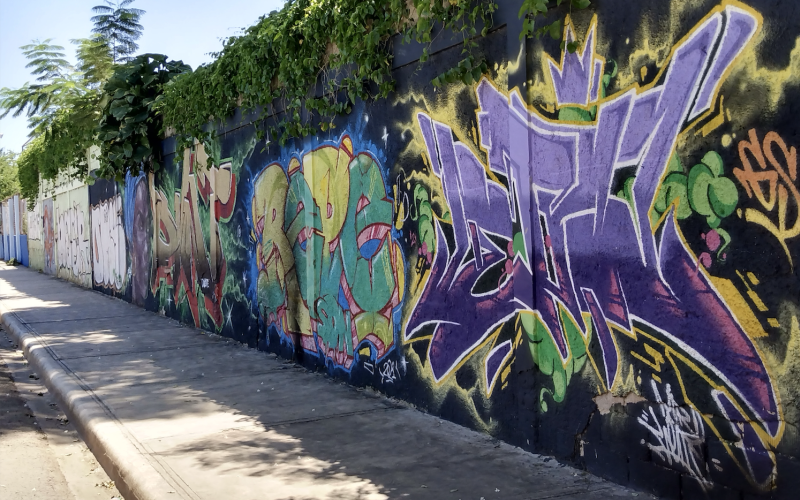 Colorful graffiti marks an outdoor wall draped with trees and overgrown greenery.
