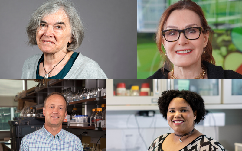 Collage of quoted RNA researchers. Clockwise from top left, those pictured include Marlene Belfort, Lynne Maquat, Alexis Weber, Andrew Berglund. 