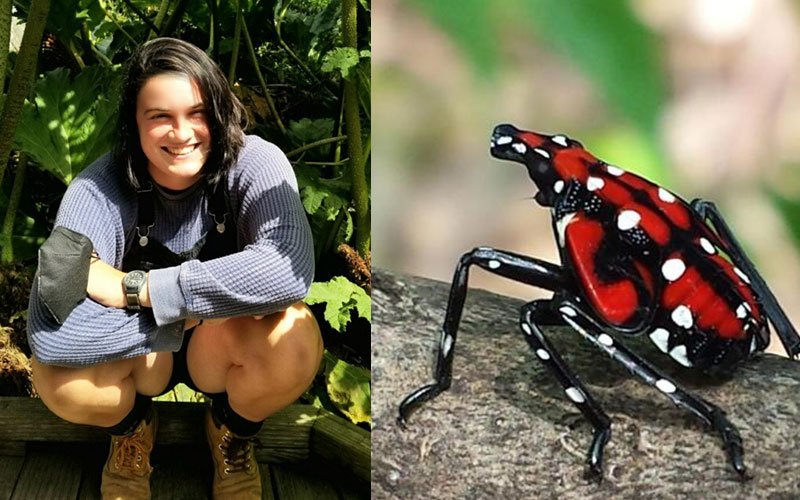 At left, JJ Kathe poses outdoors in black overalls and a blue long-sleeved shirt in front of green plants with the sun shining on her face. At right, a Spotted Lanternfly crawls on a branch.