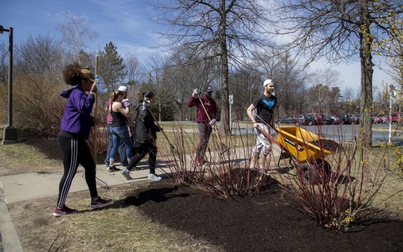 Several students with rakes and a wheelbarrow clean up a landscaped area