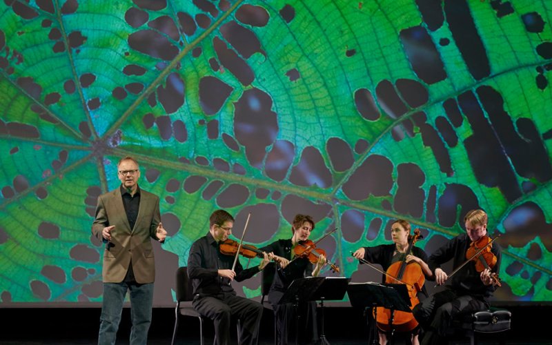 four musicians with instruments and a speaker in front of a projected image of green leaf with holes