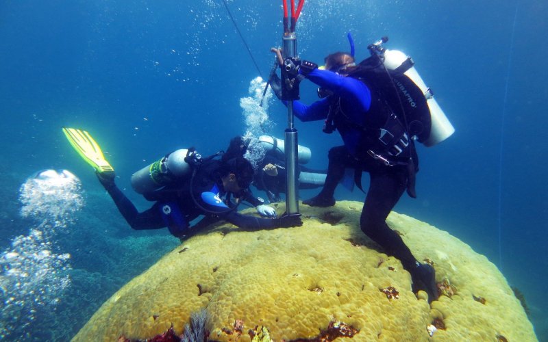 Researchers use an underwater drill to collect a coral core from the Lombok Strait in the Bali Sea.