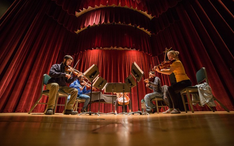 five string musicians play in a semicircle in front of music stands