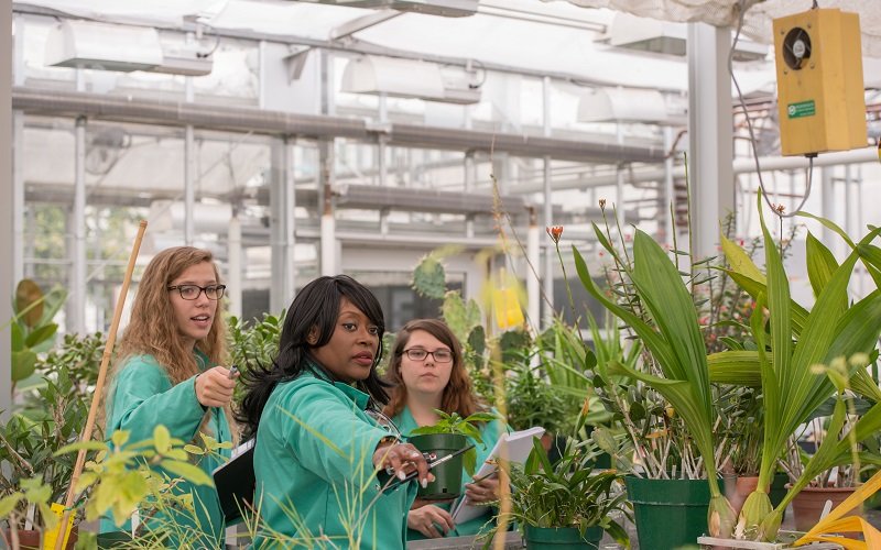 Three women in in green lab coats stand surround by green plants in a greenhouse, with the one in the center pointing with a pen in hand to something in the foreground.