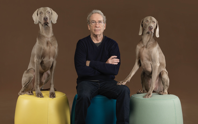 A man dressed in all black sits, arms folded, on a cushion between two gray Weimaraner dogs, also seated on cushions. One has a paw on his leg.