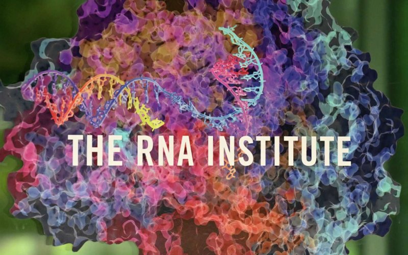 RNA Institute Logo
