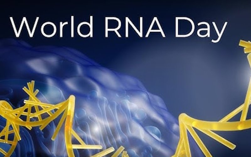 World RNA Day