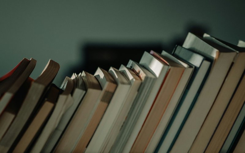 A row of books leans in a shadow on a shelf. 