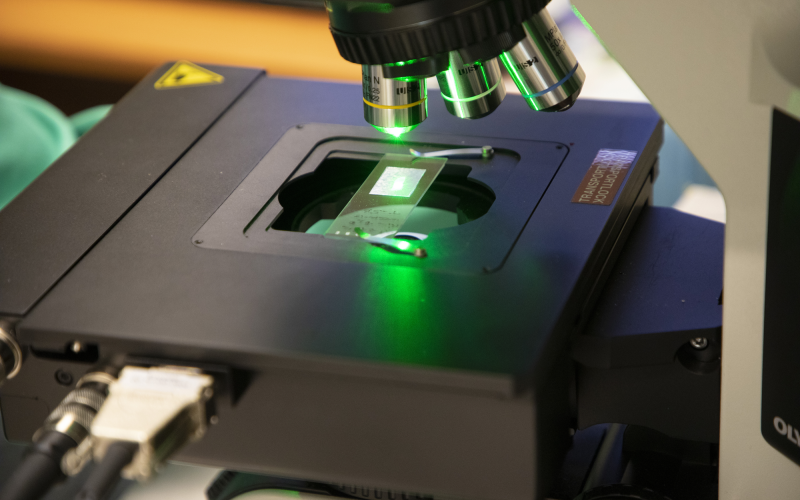 A green laser light shines on a sample to measure the scattered radiation. 