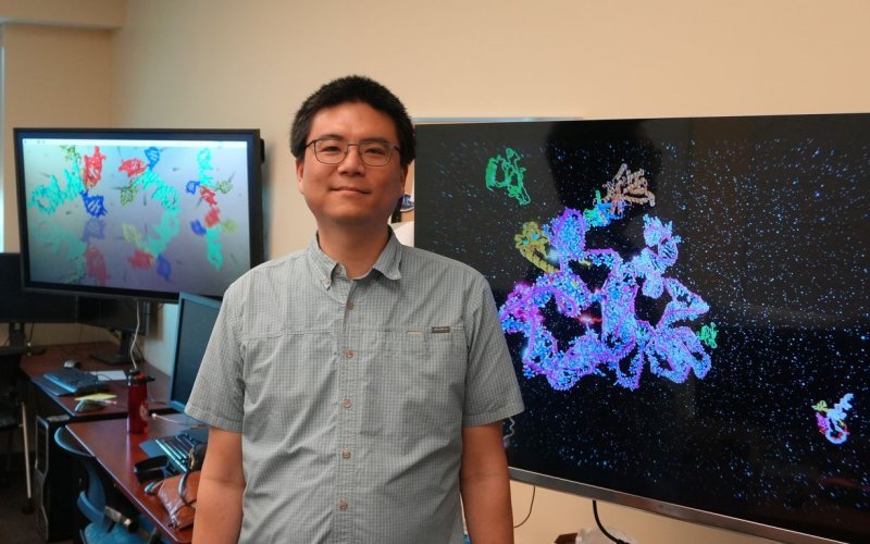 A man wearing square rimmed glasses and a green checkered button-down shirt stands in a computer lab between two large wall-mounted monitors displaying colorful visual simulations of molecules.  
